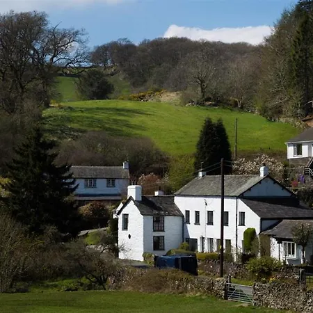 Damson * Crook (Cumbria)
